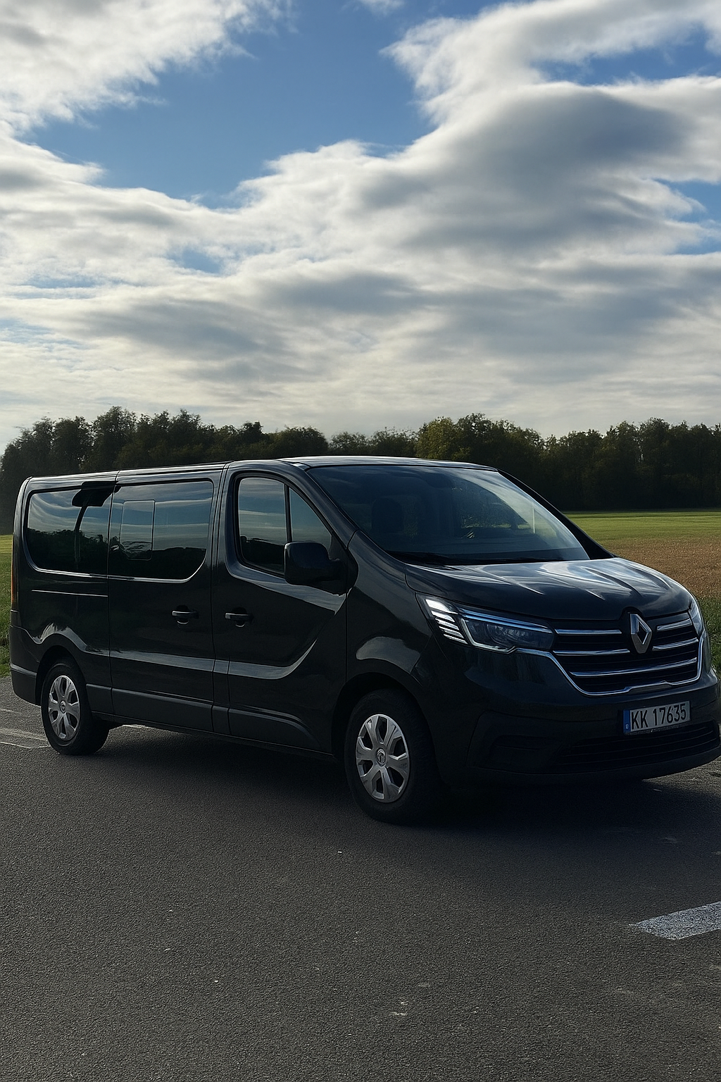 Renault Trafic — bok